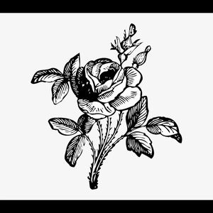 Meet your Posher, Bri